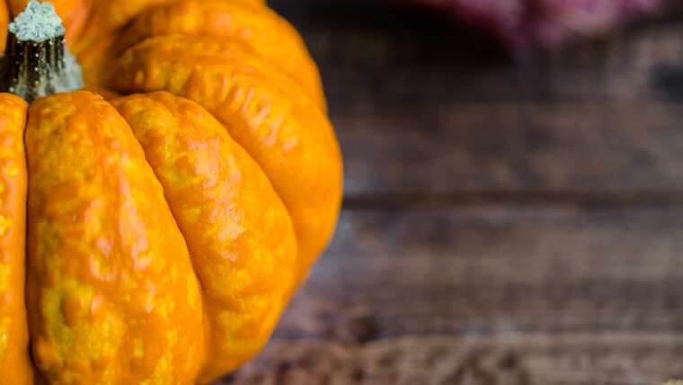 Halloween Dolcetto o scherzetto?